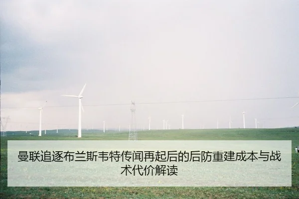 man-lian-zhui-zhu-bu-lan-si-wei-te-chuan-wen-zai-qi-hou-de-hou-fang-chong-jian-cheng-ben-yu-zhan-shu-dai-jia-jie-du-2-319.jpg